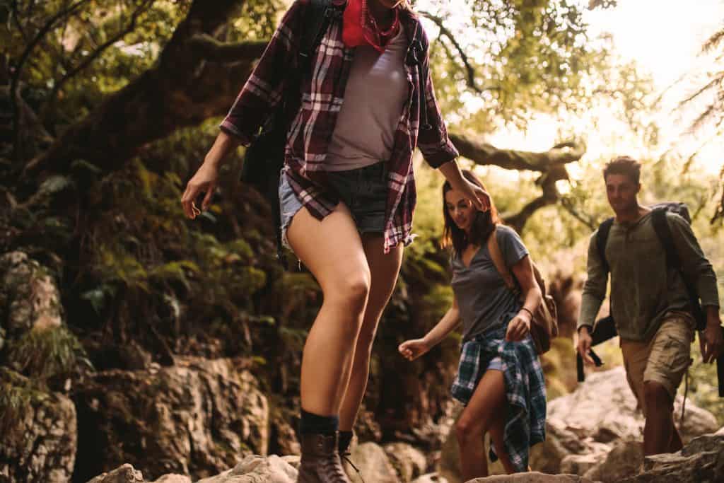 trekking forêt