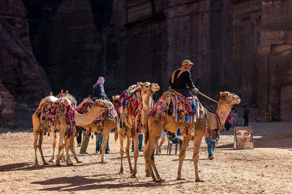 randonnée jordanie chameau