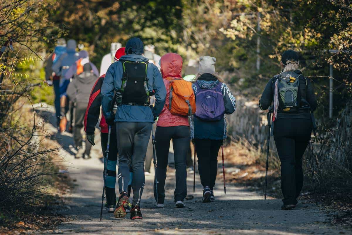 conseils pour commencer la marche nordique