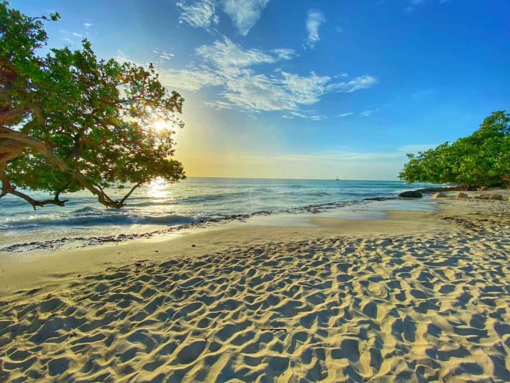 plage aruba