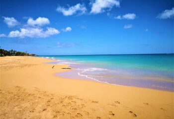 plage grande anse